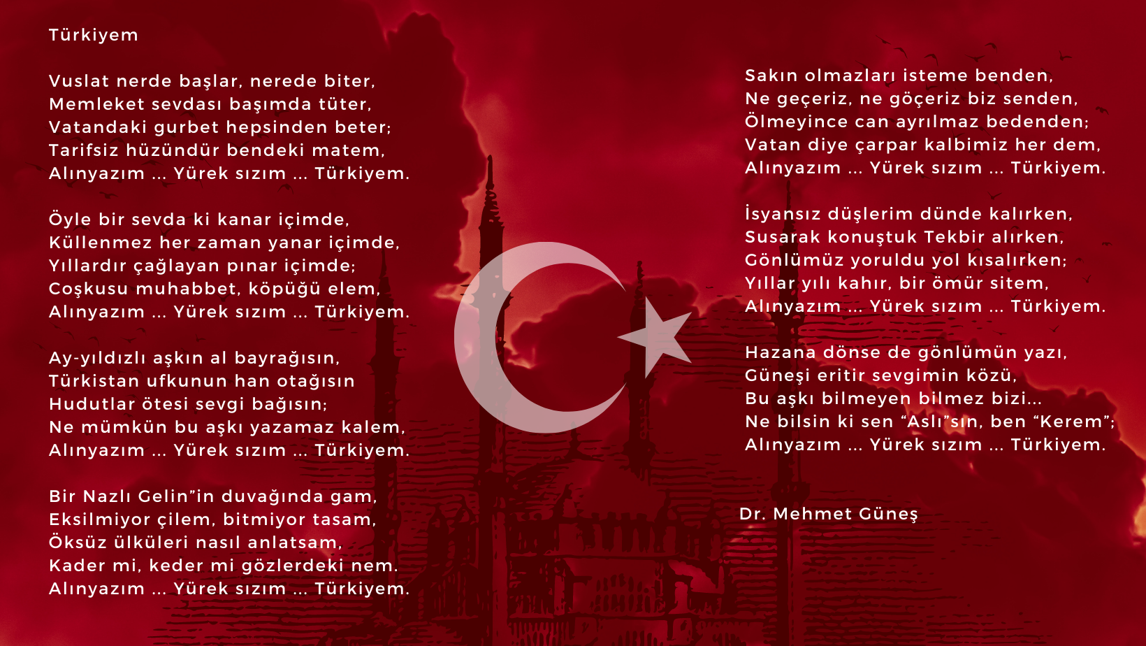 Türkiyem , şiiri, Mehmet Güneş